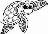 Turtle Turtles Clipartmag Tortoise sketch template