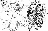 Getcolorings Fishes Educative Koi Crappie Pioneering Getdrawings Stumble Southwestdanceacademy sketch template
