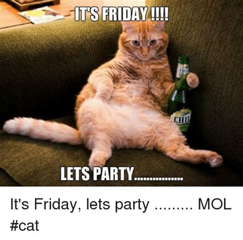 its friday lets party it s friday lets party mol cat friday meme on