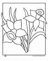 Coloring Daffodil Pages Flowers Spring Flower Colouring Printable Library Clipart Patterns Comments Printables sketch template