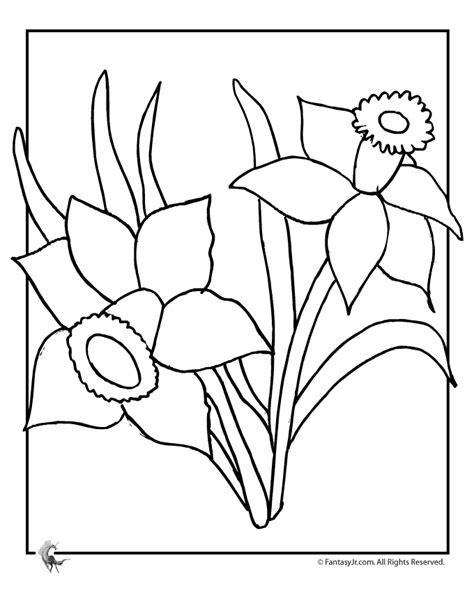 spring flowers coloring pages coloring home