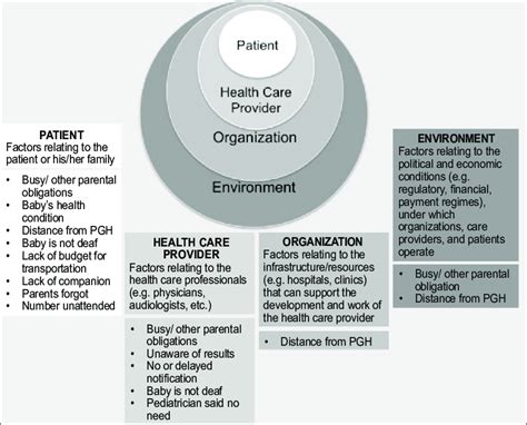 level model   health care system adapted  reproduced