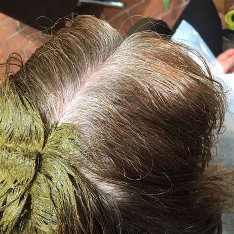 Perfetto per qualsiasi tipo di capigliatura, l'hennè regolarizza la produzione di sebo riducendo quindi l'antiestetico effetto bagnato tipico . Tutto sull'Henne: copre i capelli bianchi? C'Ã¨ per bionde? Le risposte!
