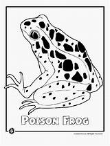 Rainforest Coloring Animals Pages Endangered Frog Animal Most Dart Poison Species Printable Forest Activities Jr Colour Color Animaljr Crafts Blue sketch template