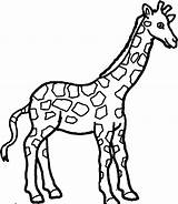 Giraffe Coloring Pages Printable Drawing sketch template