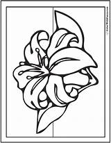 Coloring Lily Pages Spring Stargazer Flowers Printable Drawing Getdrawings Printables Colorwithfuzzy Fun sketch template