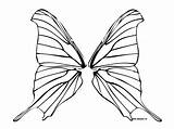 Wings Butterfly Fairy Outline Template Wing Coloring Drawing Pages Draw Colouring Clipart Butterflies Horse Tattoo Book Drawings Lineart Clip Sheets sketch template