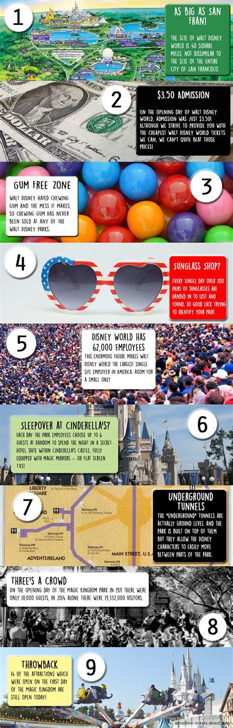 incredible walt disney world facts  infographic