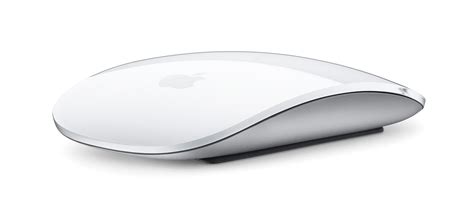 images  magic mouse japaneseclassjp