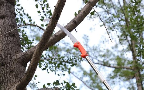 top   manual pole saws   reviews buyers guide