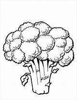 Broccoli Coloring Printable Pages Coloringbay sketch template