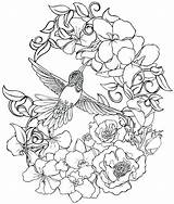 Coloring Pages Hummingbird Flower Adults Tattoo Adult Flowers Printable Metacharis Advanced Deviantart Hummingbirds Drawing Bird Print Color Birds Humming Detailed sketch template