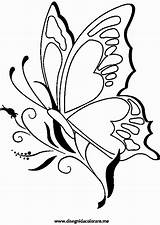 Schmetterling Ausmalbilder Ausdrucken Blumen Malvorlagen Ausmalen Druckvorlagen Vorlage Vorlagen sketch template