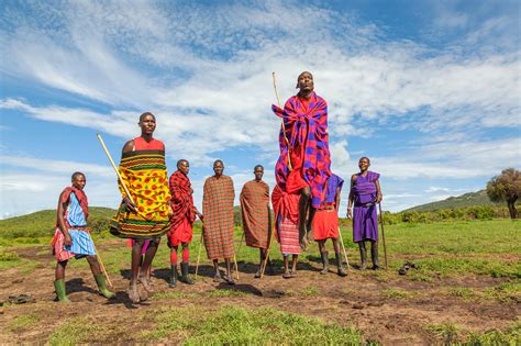 experience  unparalleled wildlife   masai mara african safari excellence