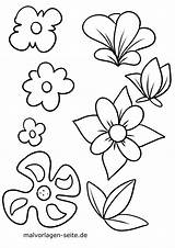 Malvorlagen Vorlage Malen Vorlagen Herunterladen Blume Malvorlage sketch template