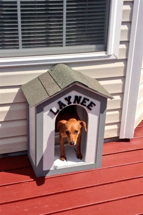dog door entrance  house    house pinterest