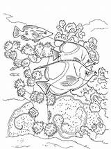 Vissen Kleurplaat Koraalrif Koraal Malvorlage Koralle Stimmen sketch template