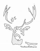 Deer Stencil Stencils Template Pumpkin Carving Coloring Pages Browning Patterns Templates Symbol Printable Head Pumkin Halloween Drawing Logo Choose Board sketch template