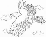 Coloring Eagle Flying Sky High Pages Ten Kids Top sketch template