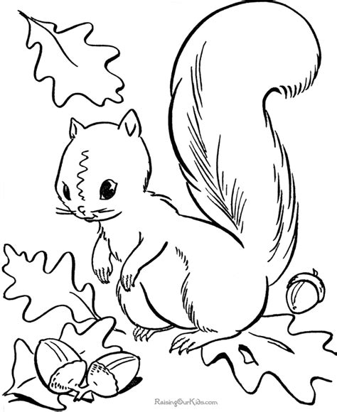 fall coloring pages  kids az coloring pages