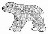 Ours Bears Osos Colorear Orsi Adulti Ourson Zentangle Justcolor Colouring Stampare Coloriages Animali Cub Jolis élégants Orsetti Adultes Difficiles Assis sketch template