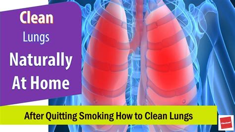 clean lungs  quitting smoking naturally lung cleaning