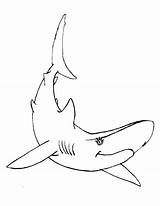 Silky Shark Coloring 72kb 1000 sketch template
