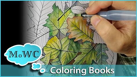 coloring  watercolor  adult coloring books youtube