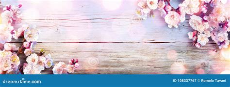spring banner pink blossoms stock image image  bokeh table