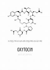 Oxytocin Molecule Hormone Structure sketch template