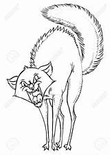 Cat Cartoon Aggressive Hissing Drawing Vector Getdrawings Hisses Dog Man Frightened Isolated Illustration Posture Threatening sketch template