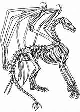 Drachen Skelett Realistic Breathing Bones Malvorlagen Q1 sketch template