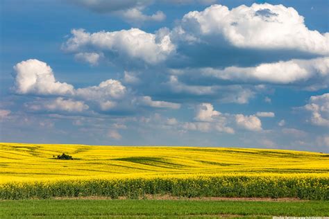 southern moravia fields hdrshooter