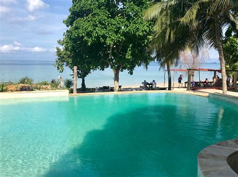 mangrove lodge   updated  prices hotel reviews chuini tanzania tripadvisor