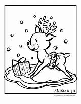 Coloring Reindeer Baby Pages Cartoon Christmas Animals Animal Printable Colouring Print Printables Jr Sheets Choose Board Popular sketch template
