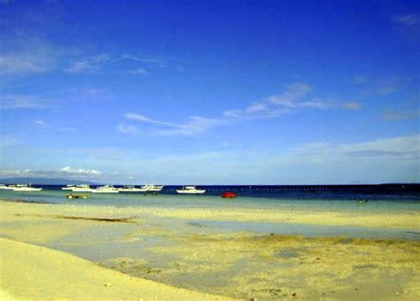 panglao beach panglao island
