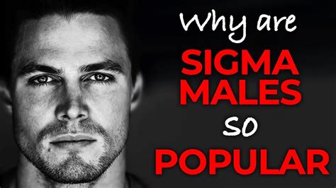 why are sigma males so popular sigma male better than alpha male