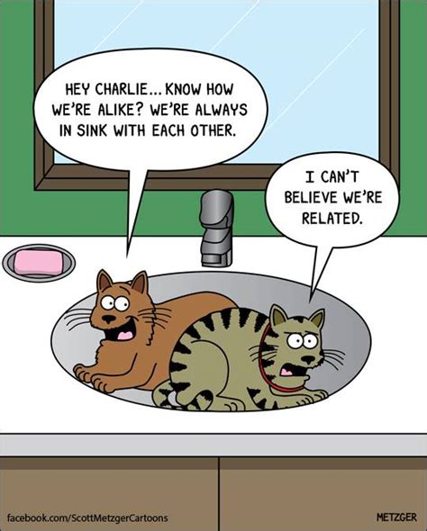 26 Adorably Funny Cat Cartoons That Will Get You Through The Day