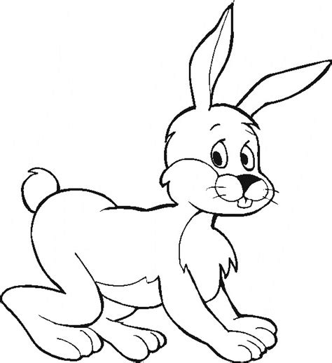 animal coloring pages home life weekly