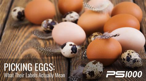 choose   eggs  top health benefits ps blog
