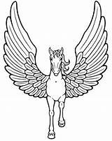 Coloring Pegasus Pages Creatures Mythical sketch template