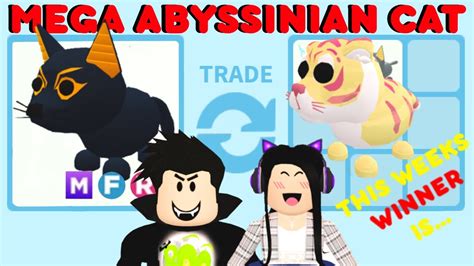 trading mega neon abyssinian cat  adopt  youtube