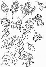 Automne Feuilles Dessiner Autunno Noten Colorier Colorat Facile Toamna Asturias Laguerche Konst För Maternelle Herfst Kleurplaten Planse Dessins Bezoeken Ghinda sketch template