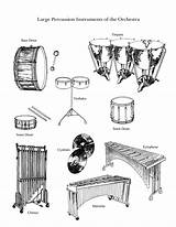 Percussion Orchestra Symphony Worksheets Musica Musicale Orquesta Scuola Strumenti Educazione sketch template