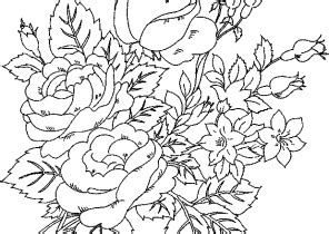rose flower coloring pages  adults unique  awesome embroidery
