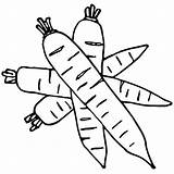 Colorear Zanahoria Zanahorias Disfruta Bugs Pintando Conejo Rato sketch template