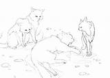 Cats Warrior Coloring Pages Fighting Cat Getcolorings Color Colorin Printable Getdrawings Print sketch template