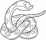 Cobra Anaconda Animais Serpiente Viper Pintar Ilustração Tucano Poplembrancinhas Cache1 Asset sketch template