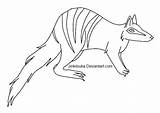 Numbat Coloring Designlooter Line 02kb 469px sketch template