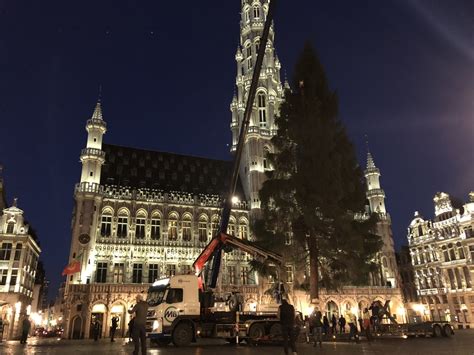 kerstboom prijkt al op brusselse grote markt brussel de standaard